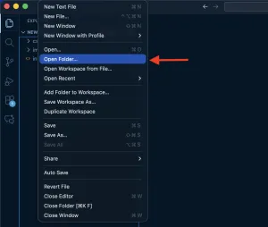 Screenshot of the folders in VS Code.